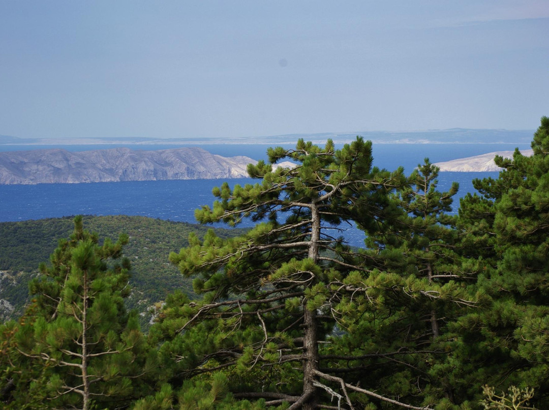 Velebit Nature Park景点图片