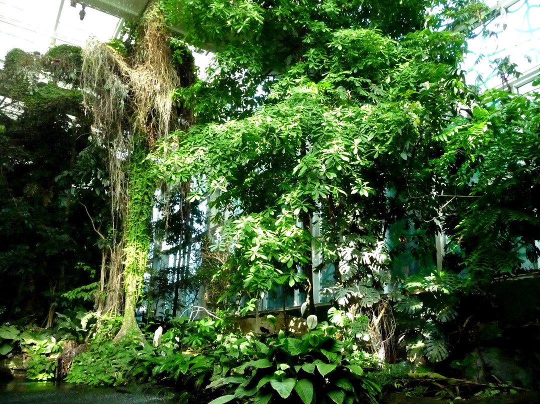 巴塞罗那科学博物馆-巴塞罗那必去景点