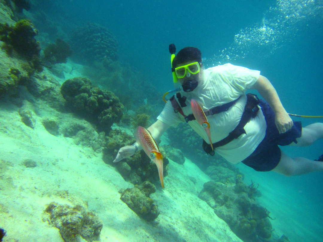 VI SNUBA Excursions-维尔京群岛国家公园必去景点