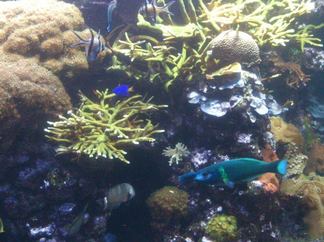 Bioparc Acuario De Gijón-希洪必去景点