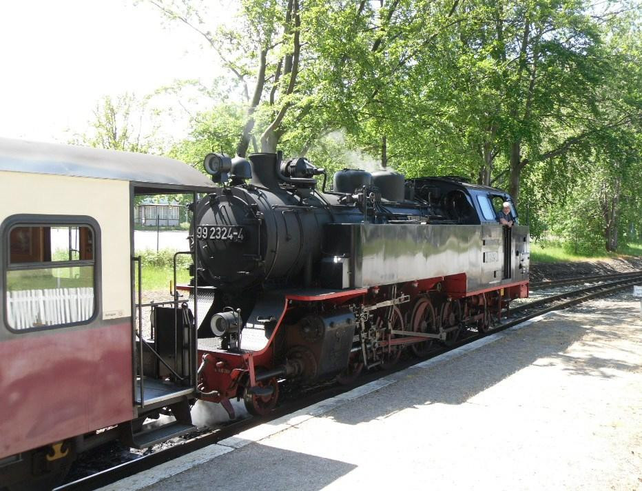 The Mollie Steam Train景点图片