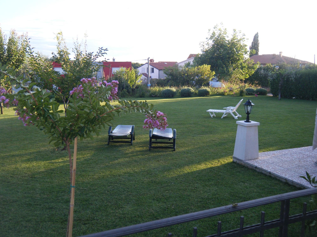 维拉住宿加早餐旅馆主图