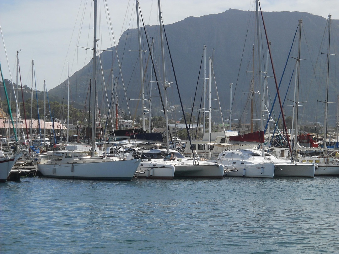 Drumbeat Charters-木湾必去景点