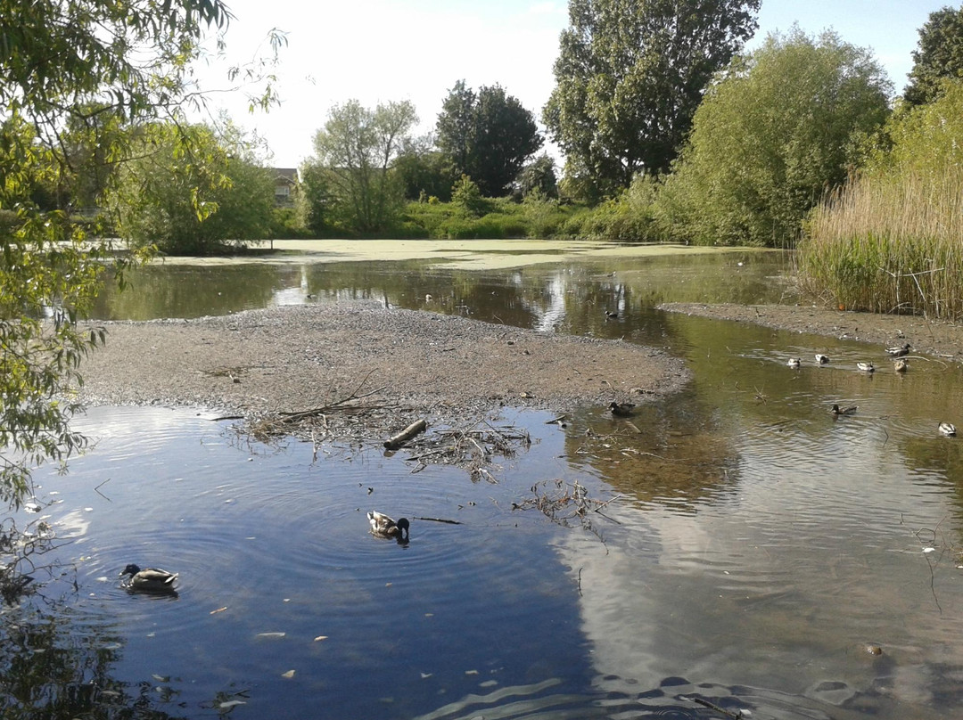 Saintbridge Balancing Pond Nature Reserve景点图片
