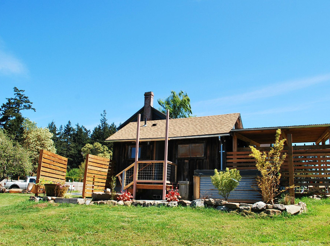 Golden Tree Hostel
