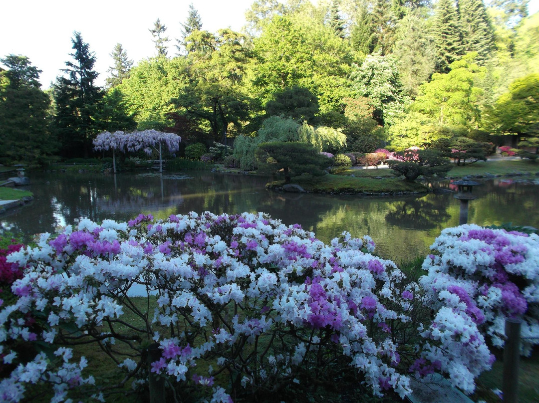 日本茶园景点图片