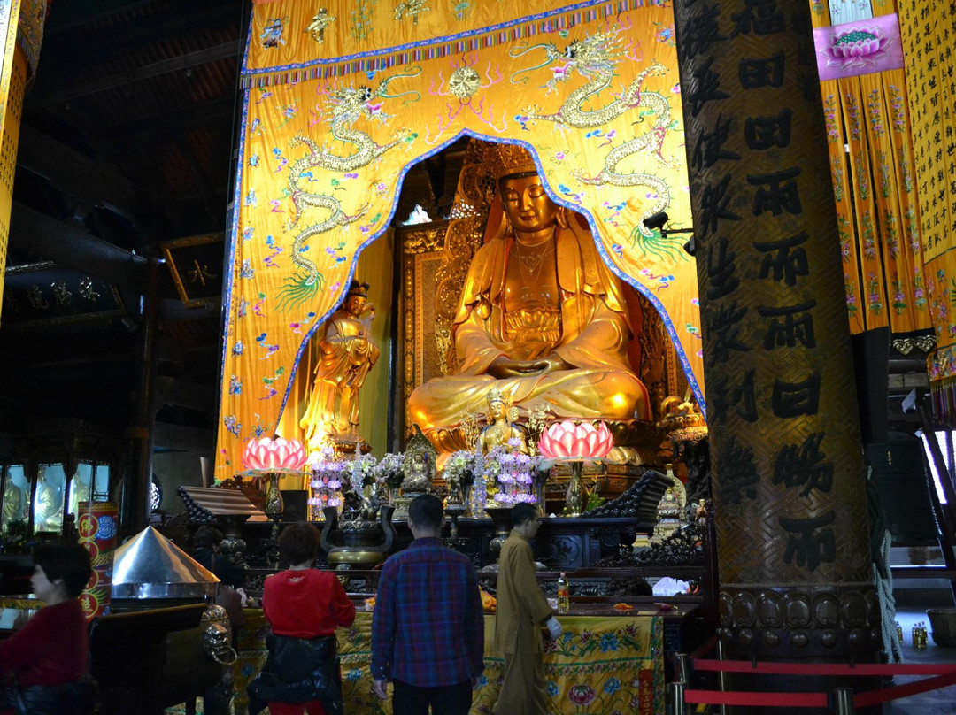 普陀山-舟山市必去景点