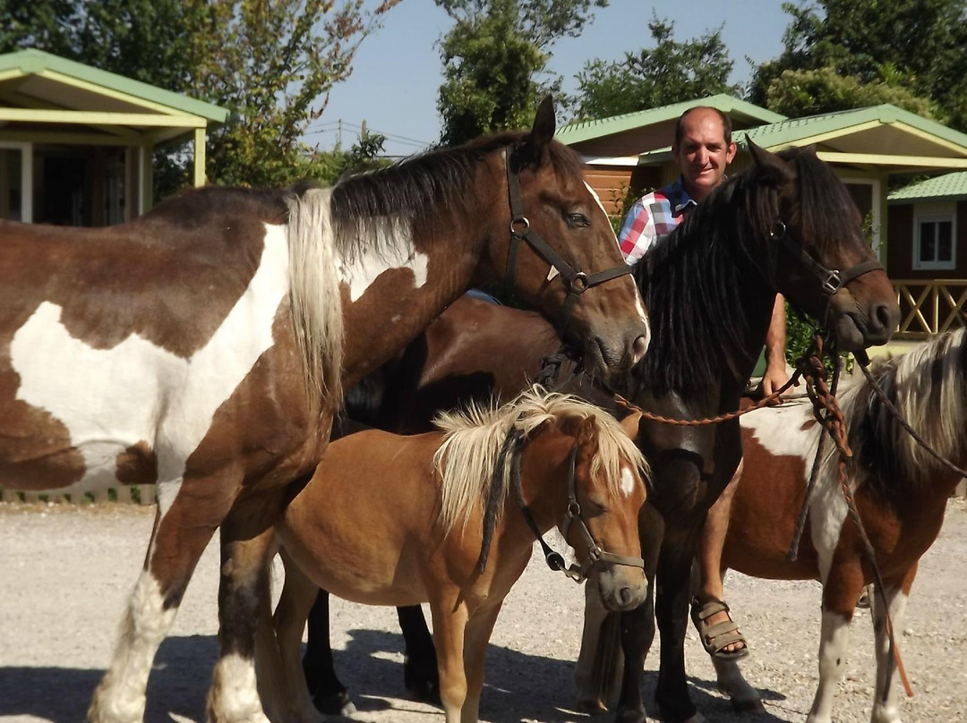Camping de la Trye