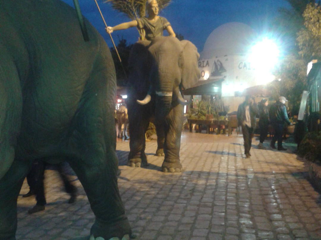 Yasmin Hammamet-哈玛麦德必去景点