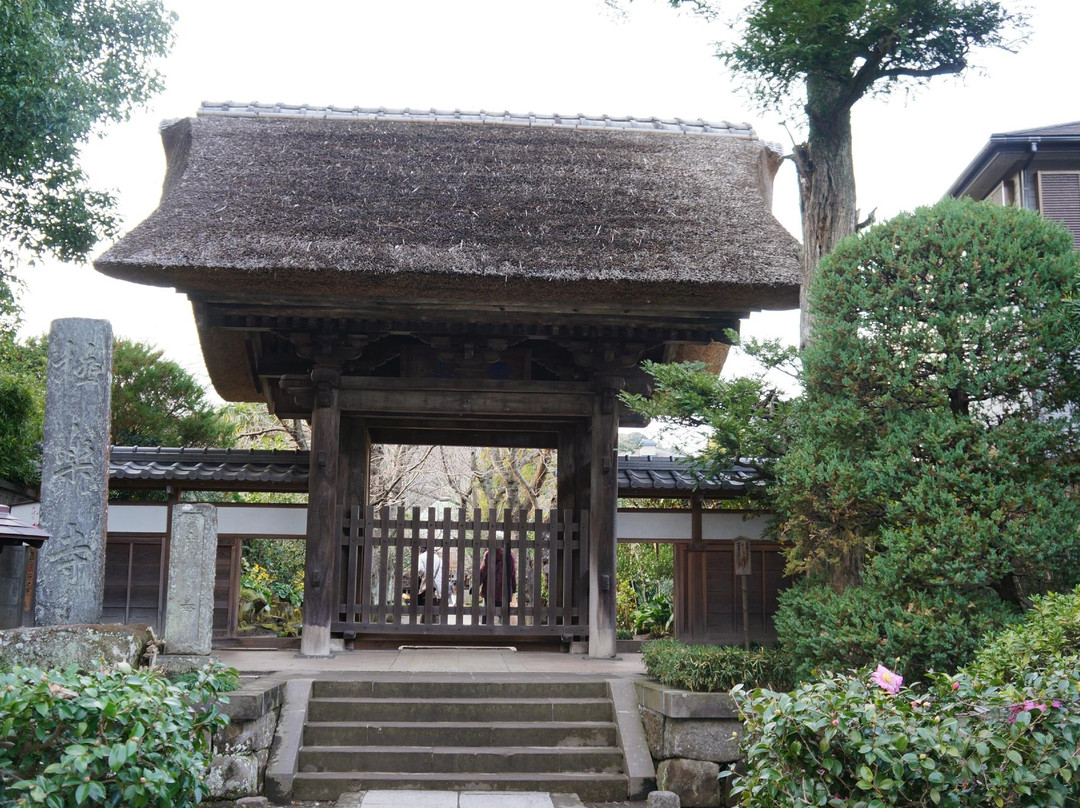 Gokurakuji Temple-镰仓市必去景点