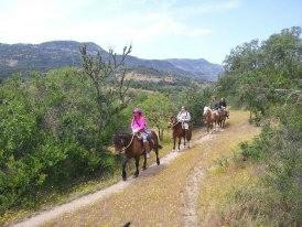 Horseback Rides Santa Cruz-圣克鲁斯必去景点