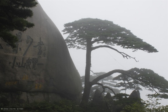 迎客松-黄山市必去景点