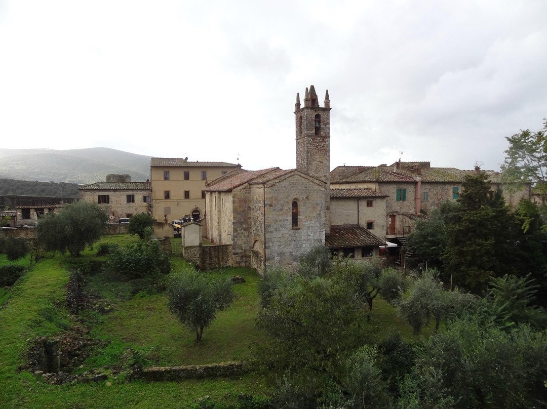 Tuscany Car Tours-佛罗伦萨必去景点