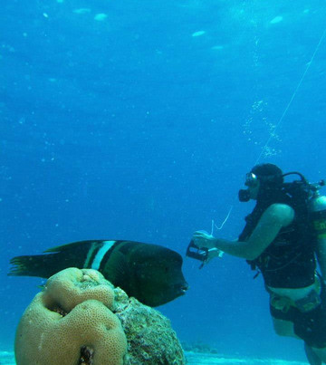 Israel Dive - diving in Eilat, Israel-埃拉特必去景点