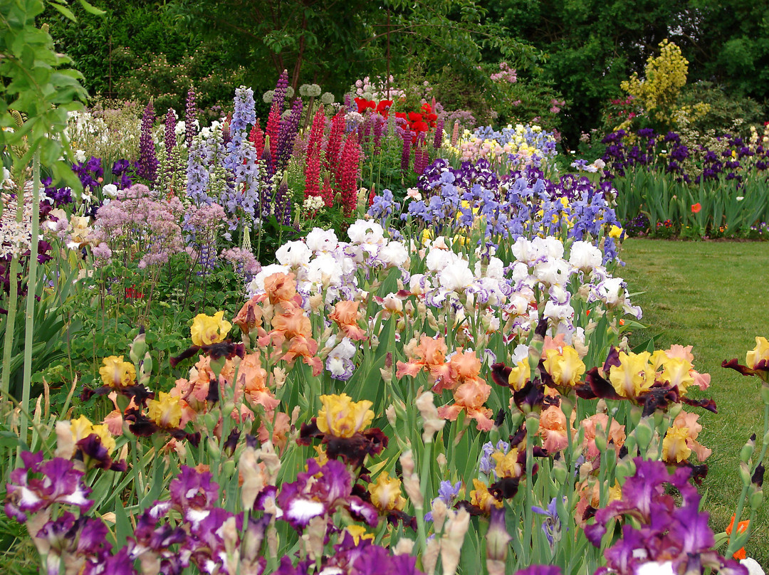 Schreiner's Iris Gardens-塞勒姆必去景点