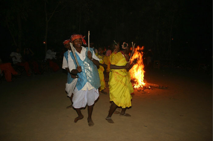 Royal Tiger Resort主图