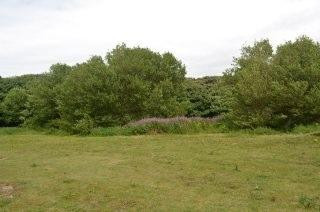 Formby Point-Formby必去景点
