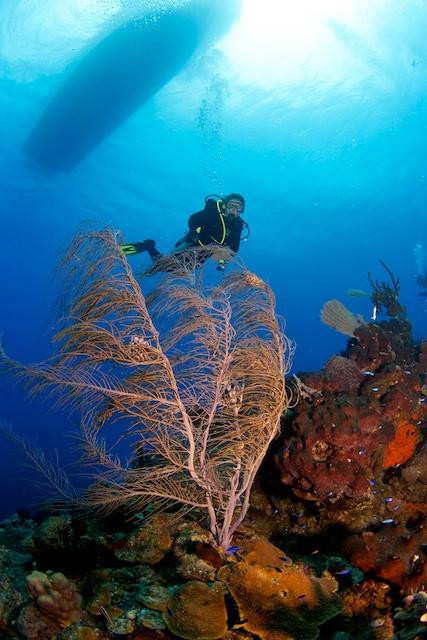 Conception Island National Park-Rum Cay必去景点