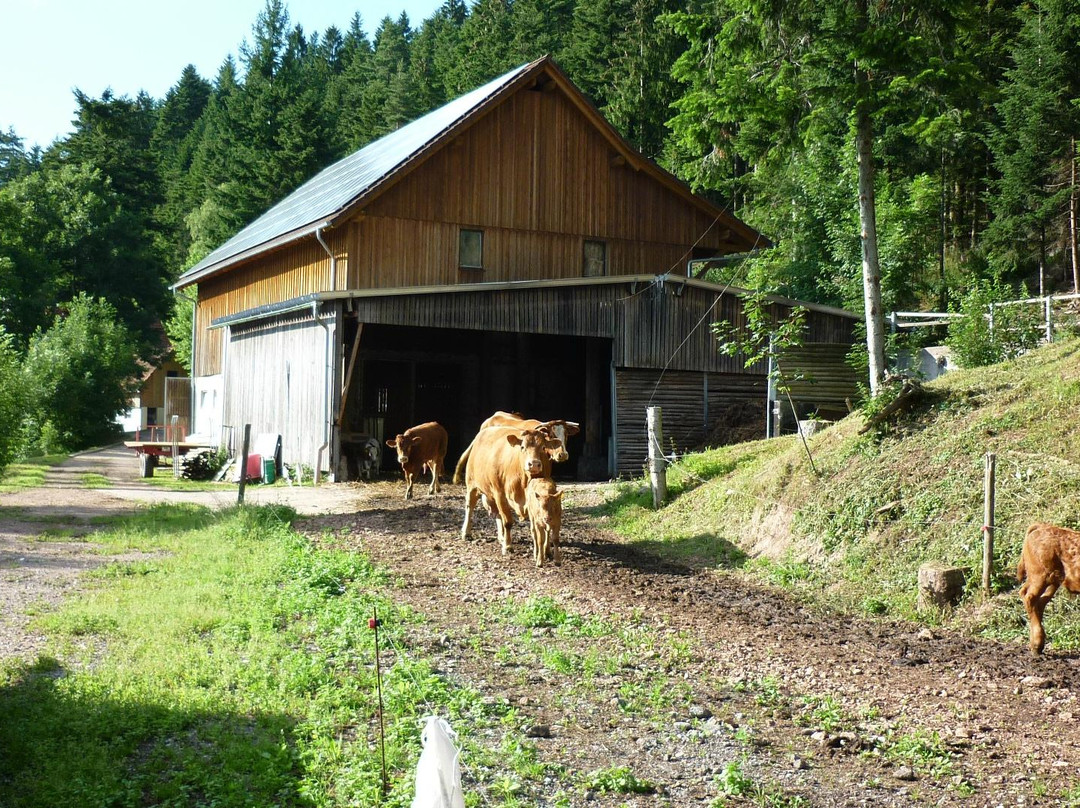 Biohof Herrenweg主图