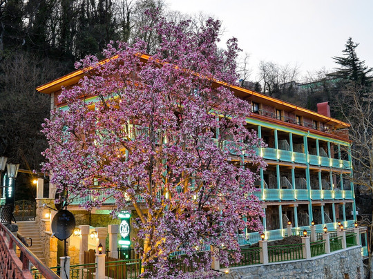 YourHost in Kutaisi, Georgia-库塔伊西必去景点