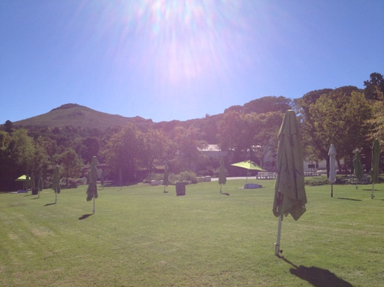 Warwick Wine Estate-斯泰伦博斯必去景点