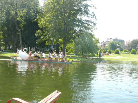 Swan Boats-波士顿必去景点