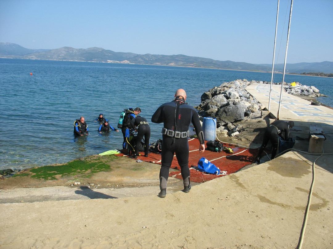 Active Blue Diving Center景点图片