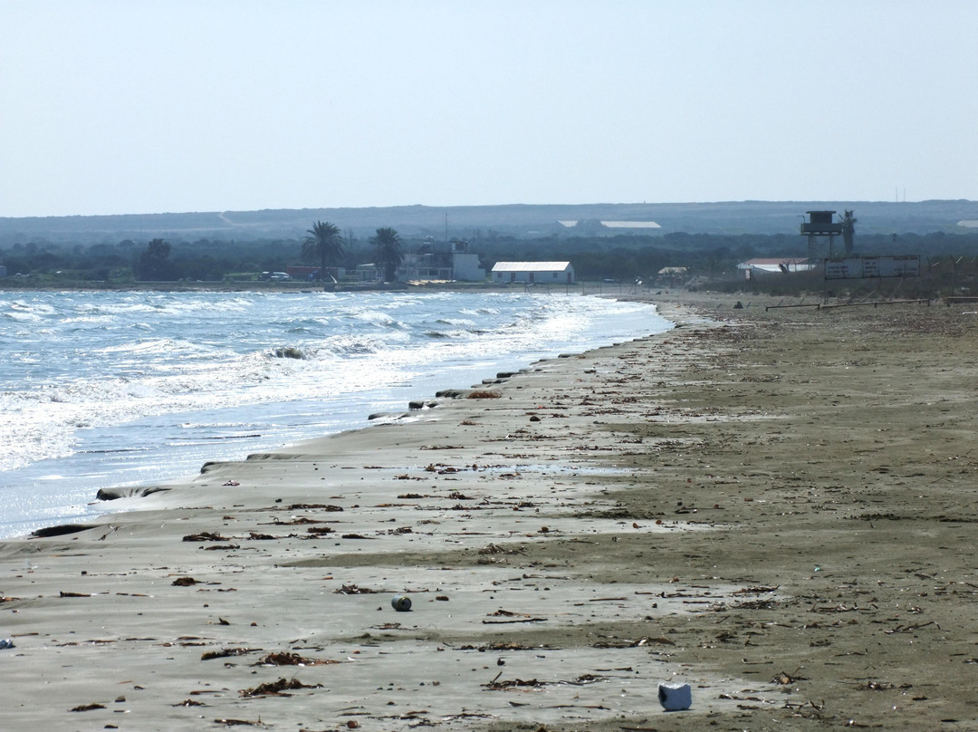 Lady's Mile Beach-Akrotiri必去景点