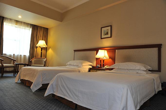 重庆丽苑维景国际大酒店（沙坪坝高铁站店）主图