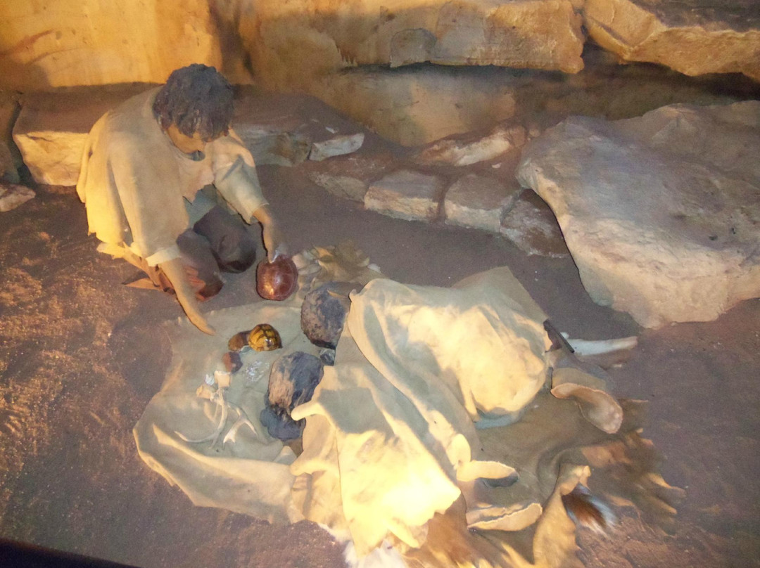 Bosque Museum-Clifton必去景点