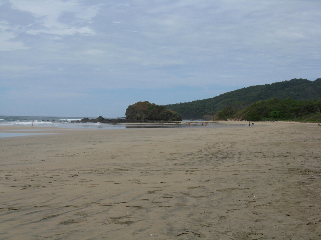 Las Baulas National Marine Park-大滩必去景点