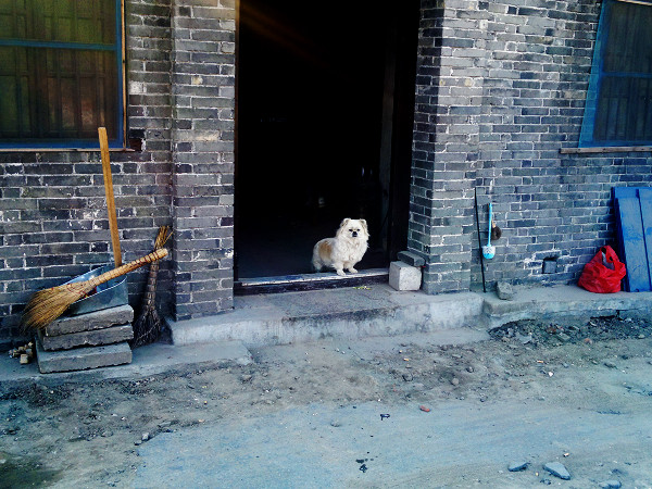 如皋内外城河-如皋市必去景点