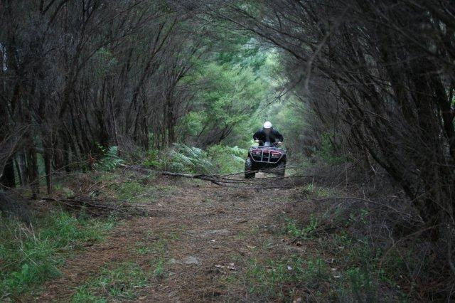 NZ Quadbike Adventures-菲蒂昂格必去景点