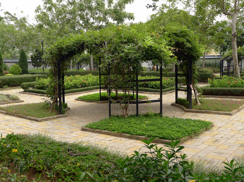 沙田公园-香港必去景点