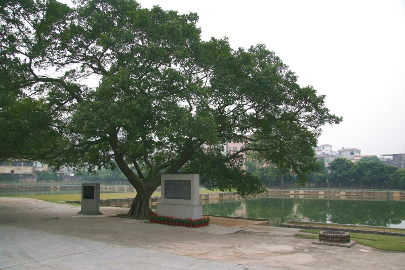 鸦片战争博物馆-东莞市必去景点