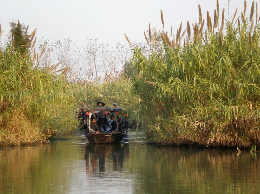 沙家浜风景区-常熟市必去景点