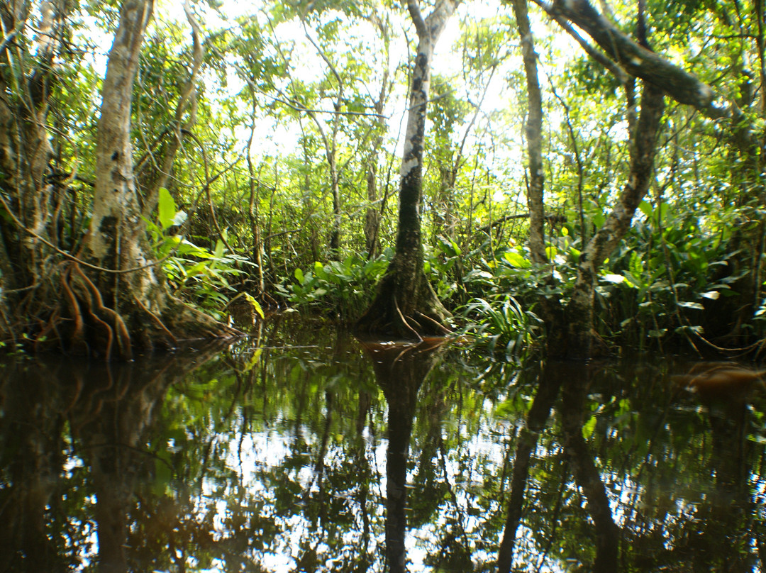 Barra de Sontecomapan景点图片