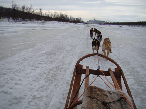 基律纳狗拉雪橇之旅-基律纳必去景点