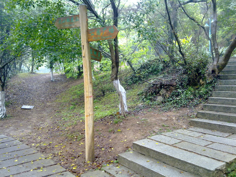 泉州森林公园景点图片