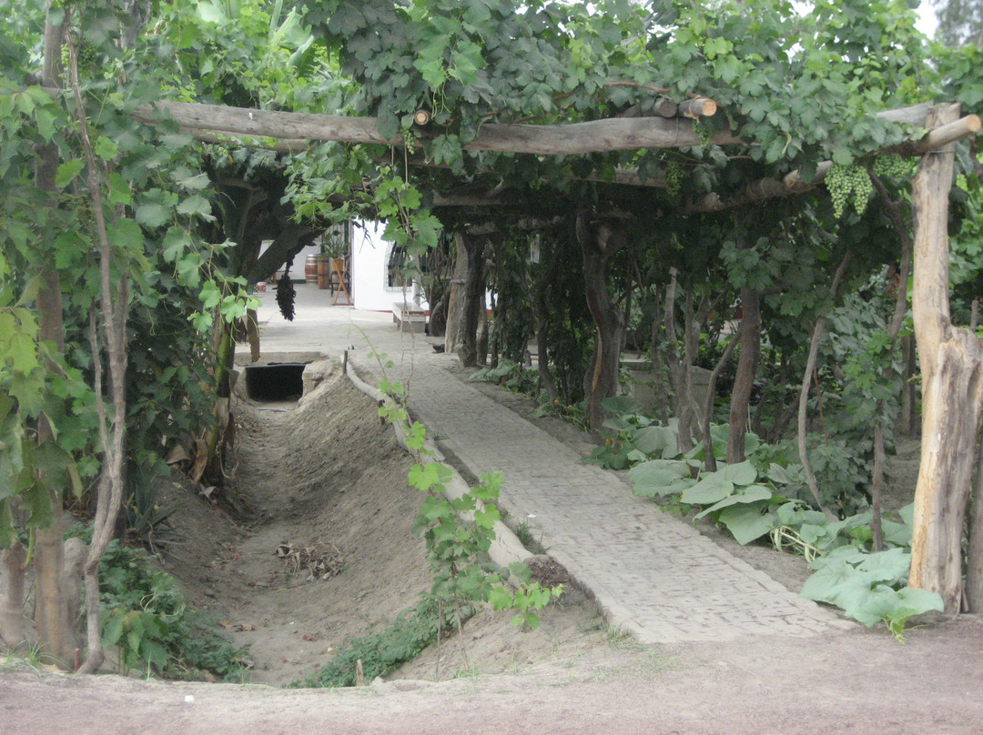 Taqará 1856-伊卡必去景点