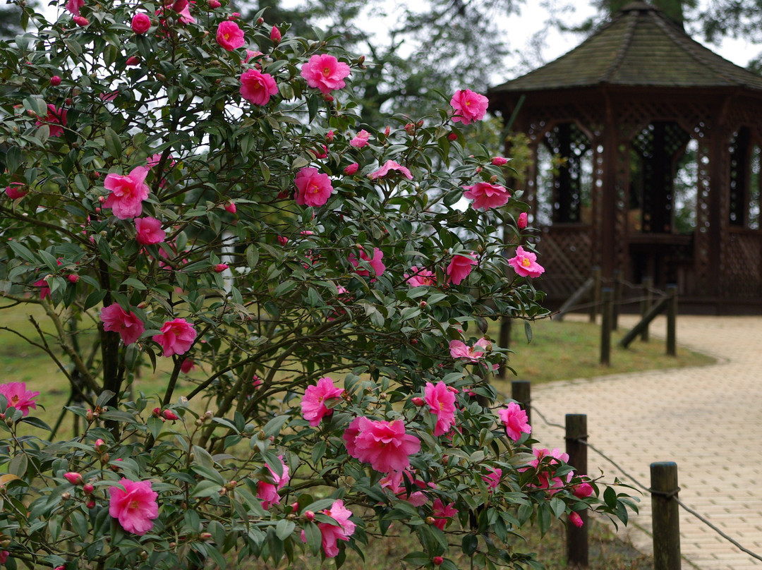 Oshima Park-大岛町必去景点