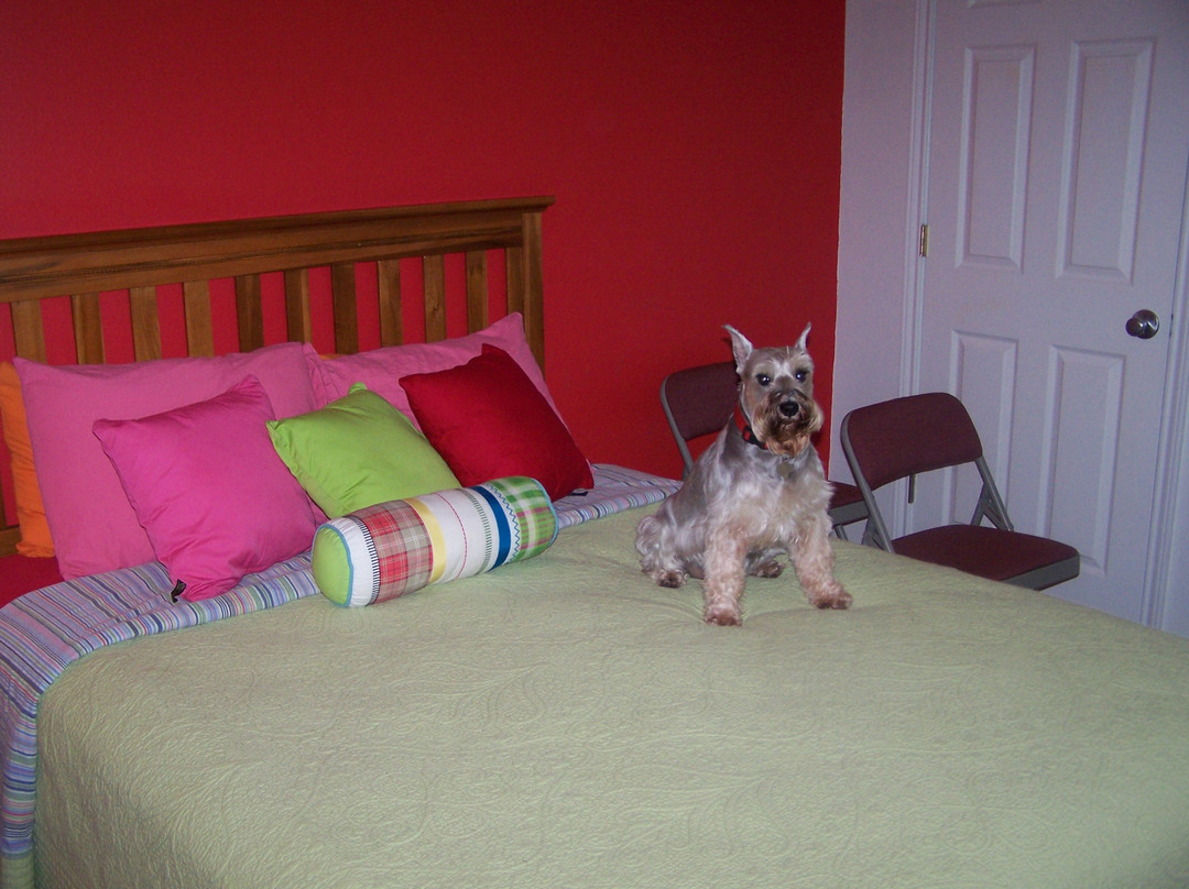 Poco Loco Lodge主图