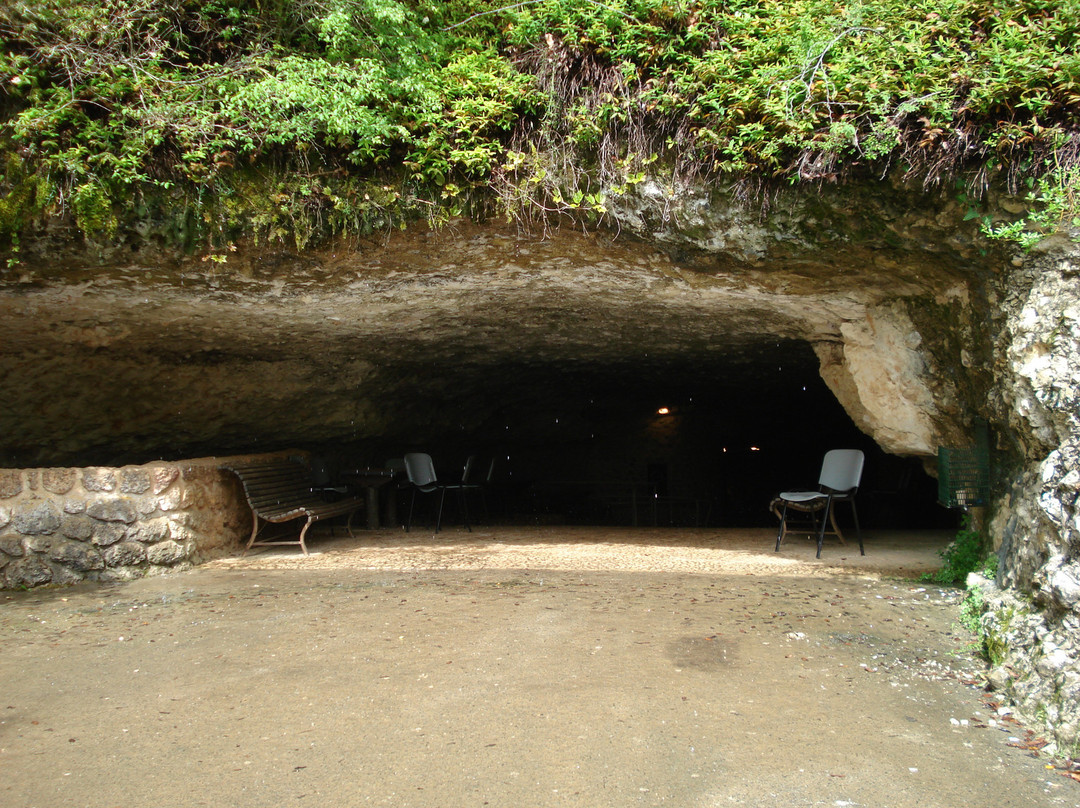 Rouffignac Cave景点图片