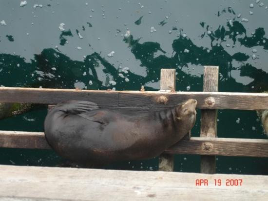 圣克鲁斯码头-圣克鲁斯必去景点