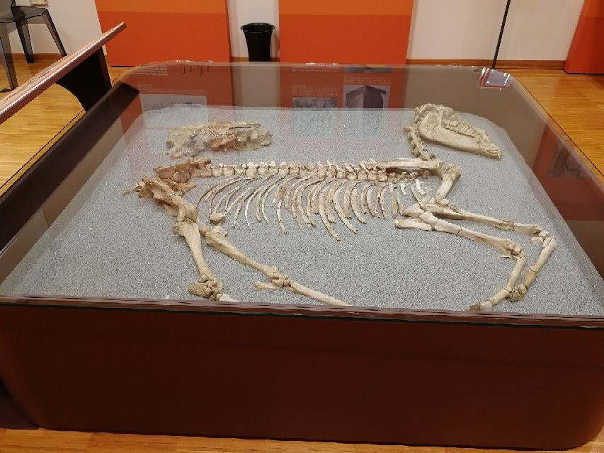 Museo Della Centuriazione Romana-Borgoricco必去景点