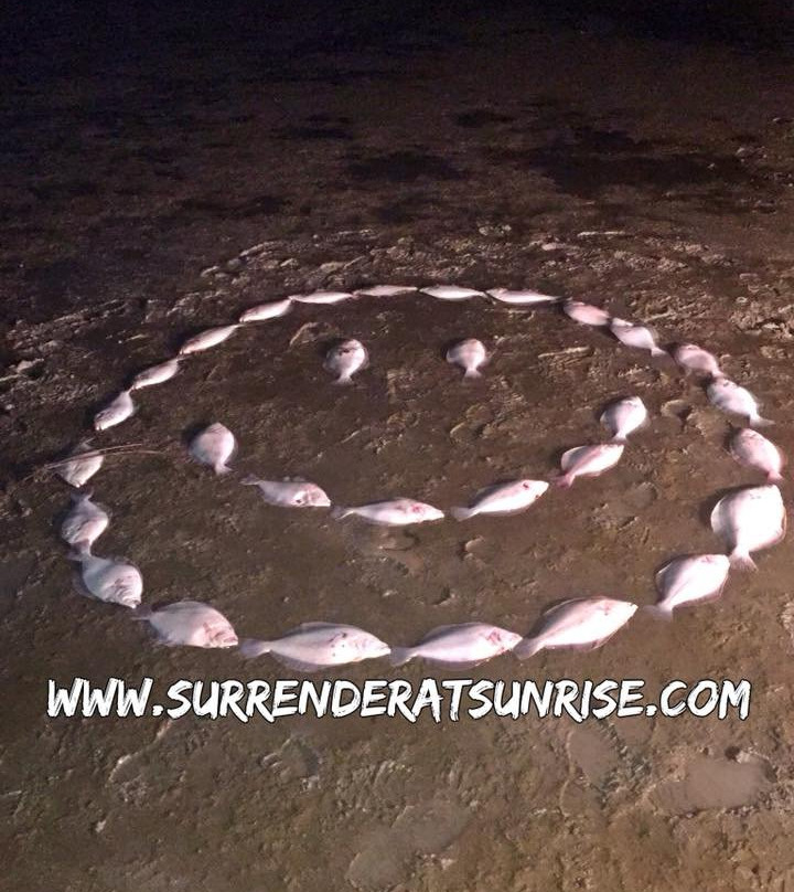 Surrender At Sunrise - Flounder Gigging Trips景点图片