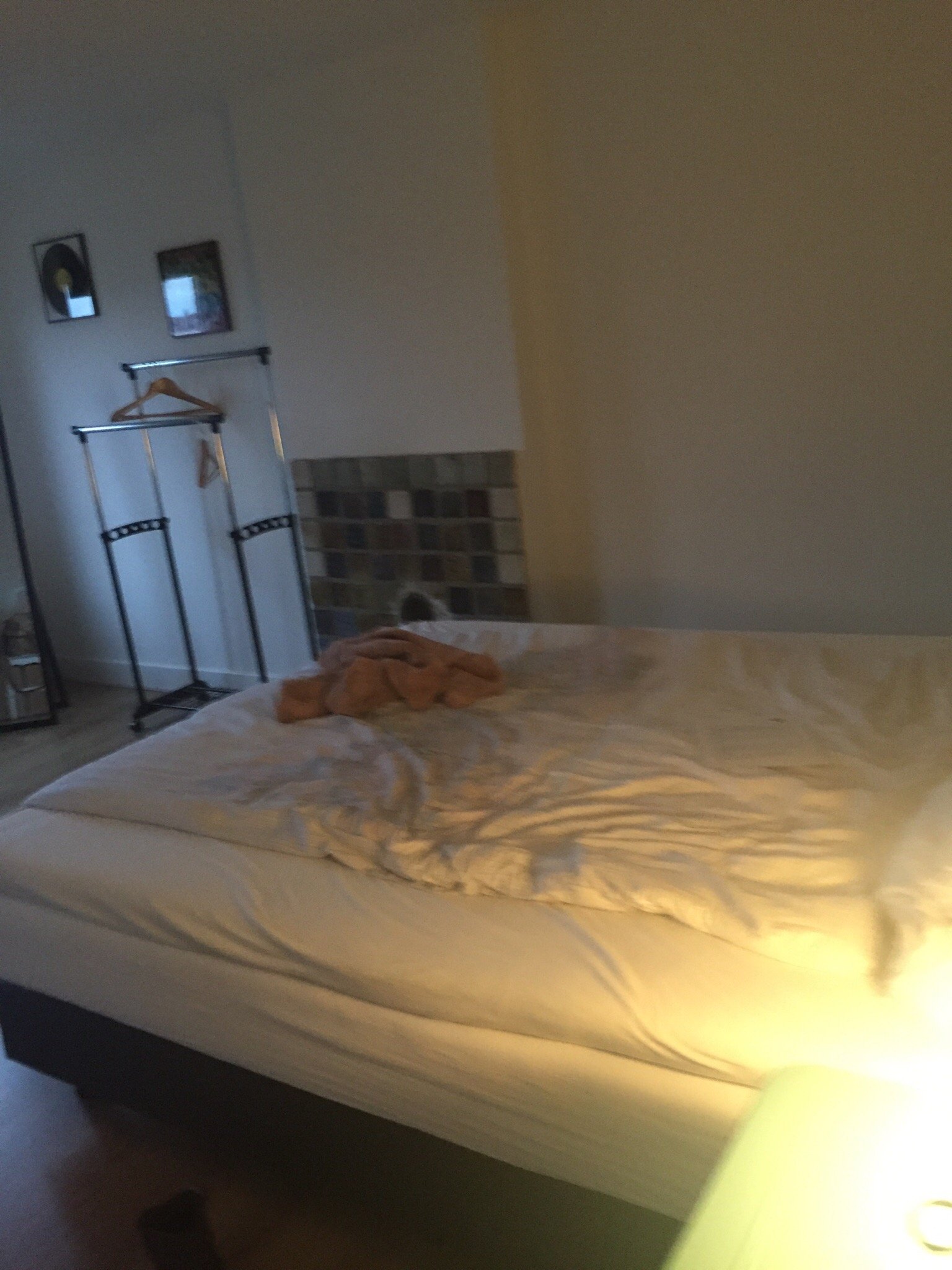 Checkmate Bed & Breakfast-官方