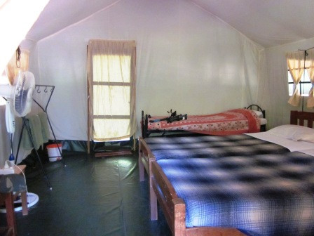 Doddamakali Nature Camp