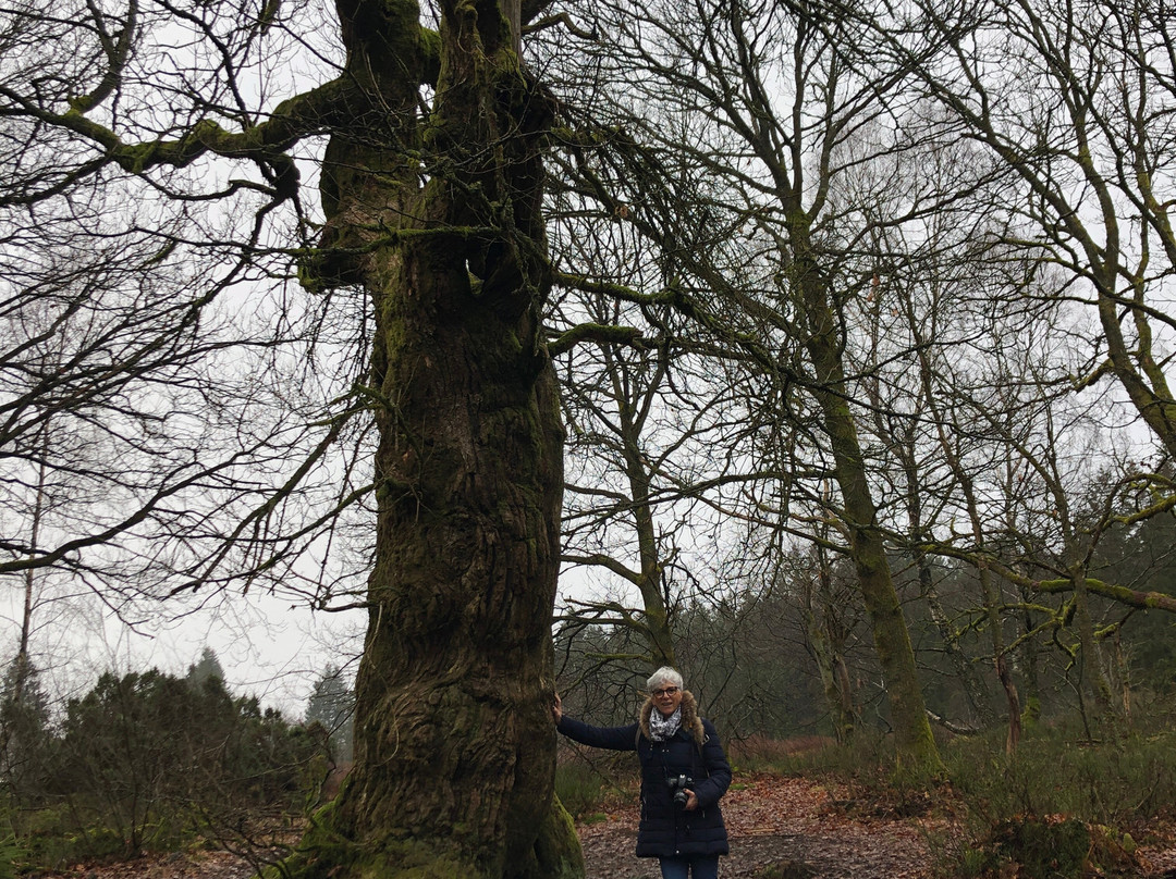 Cascade Du Bayehon-马尔梅迪必去景点