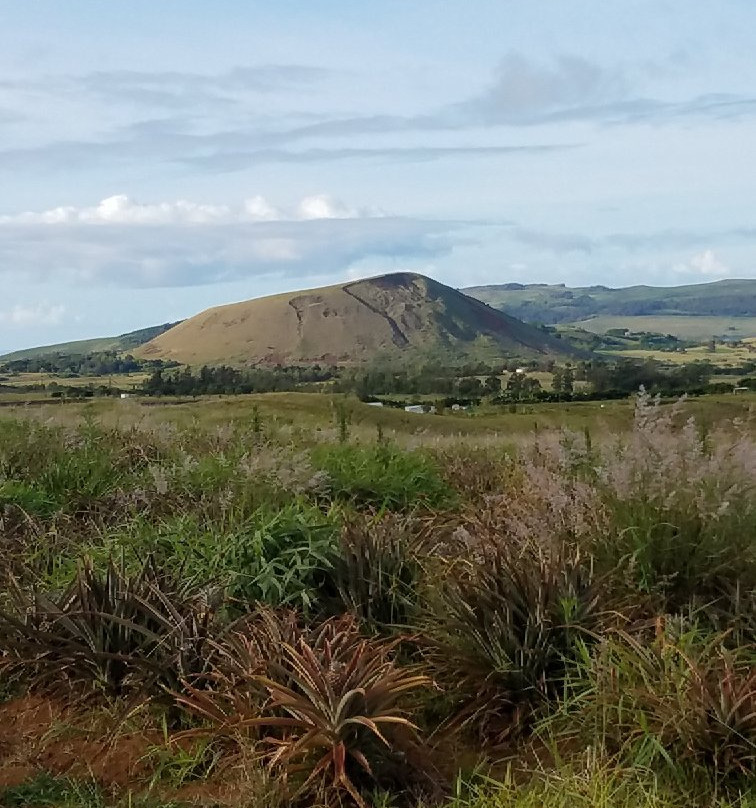Maunga Terevaka景点图片